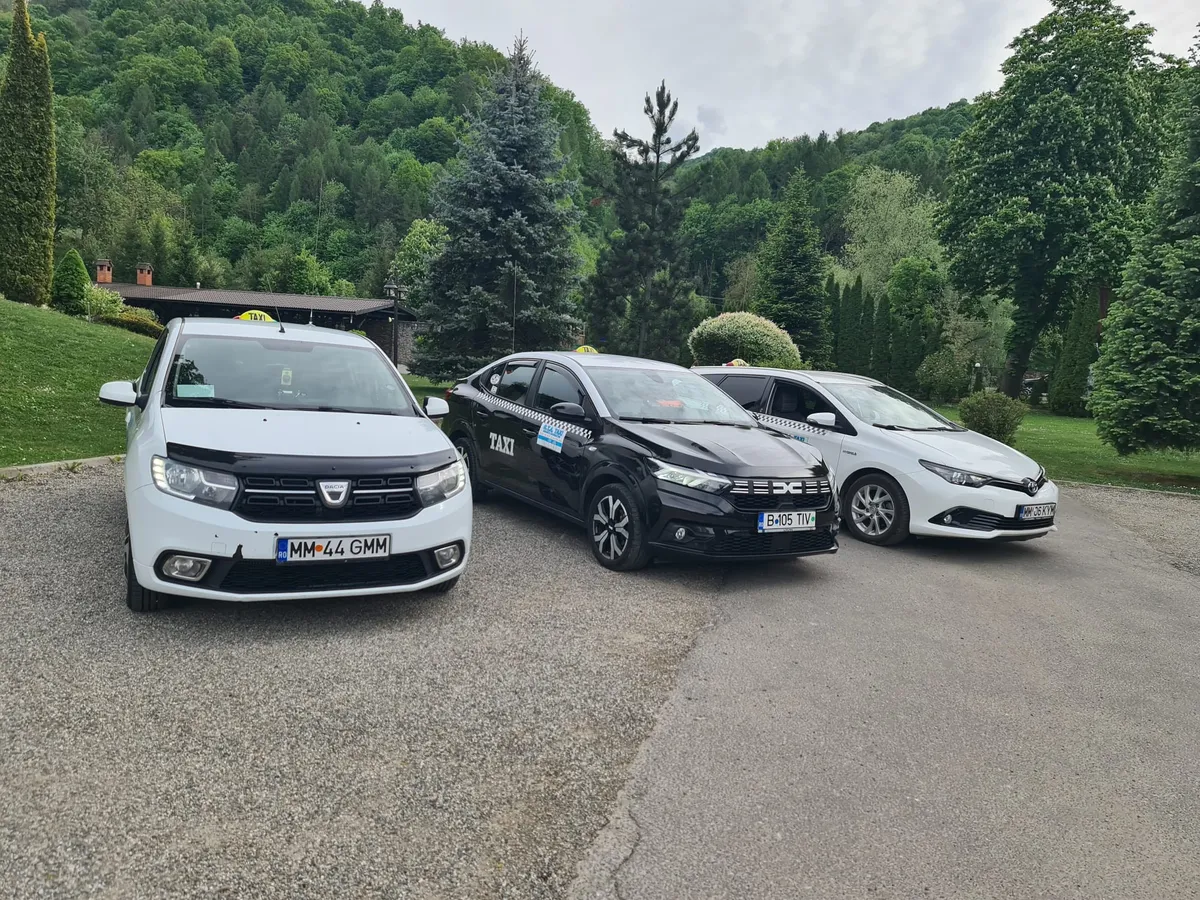 Cele trei mașini din flota GTA Taxi Sighet, parcate una lângă alta.